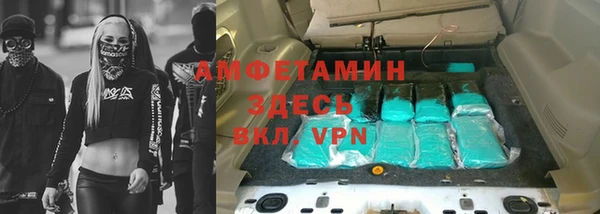 стафф Алексин