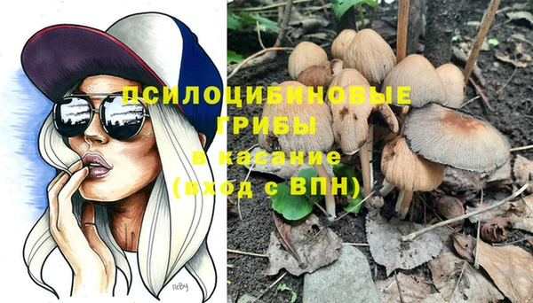эйфоретик Богородск