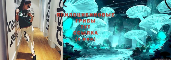 ПСИЛОЦИБИНОВЫЕ ГРИБЫ Алексеевка