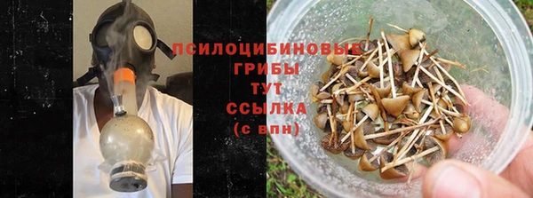 ПСИЛОЦИБИНОВЫЕ ГРИБЫ Алексеевка