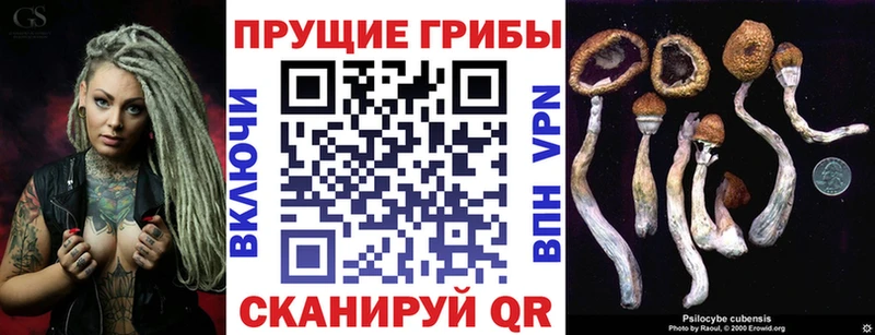 KRAKEN зеркало  Красный Кут  Псилоцибиновые грибы Cubensis 